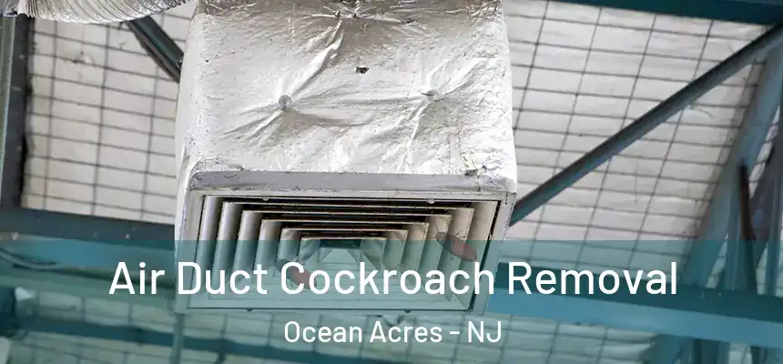  Air Duct Cockroach Removal Ocean Acres - NJ