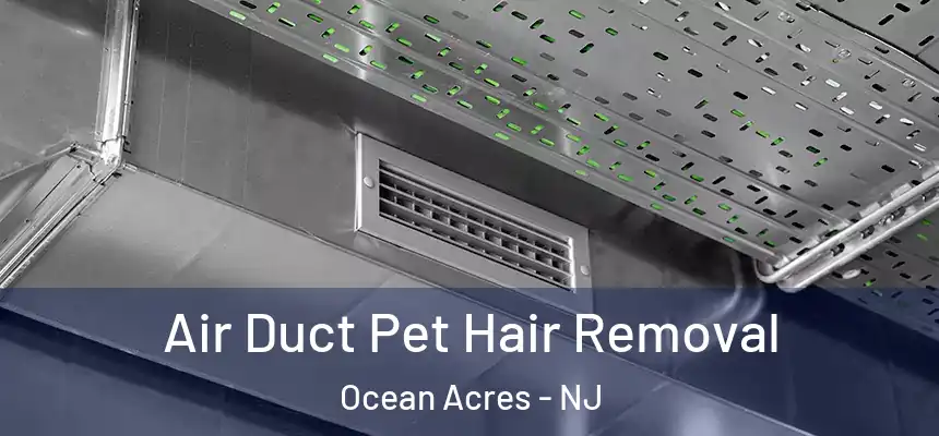  Air Duct Pet Hair Removal Ocean Acres - NJ