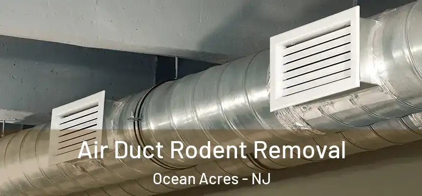  Air Duct Rodent Removal Ocean Acres - NJ