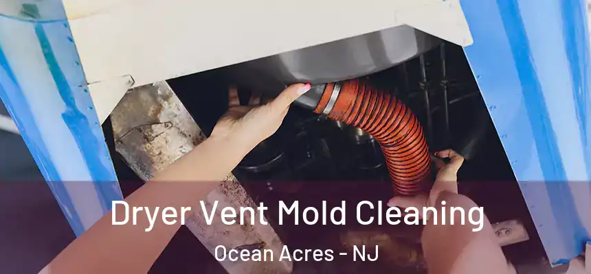 Dryer Vent Mold Cleaning Ocean Acres - NJ
