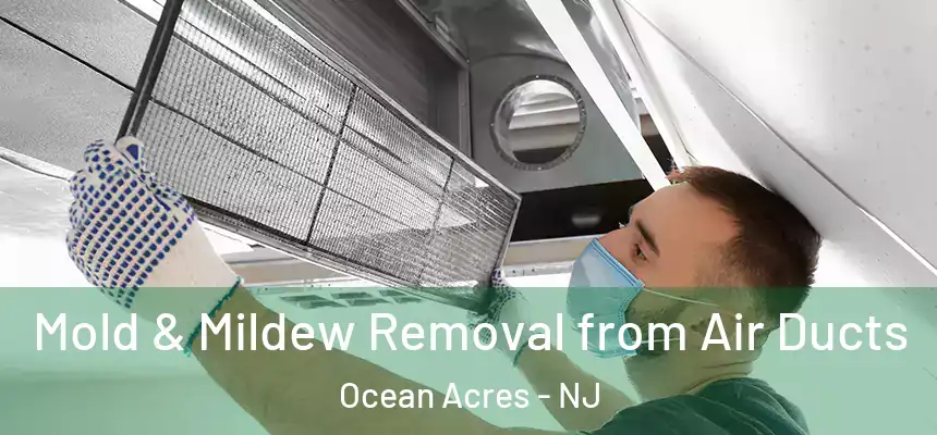  Mold & Mildew Removal from Air Ducts Ocean Acres - NJ