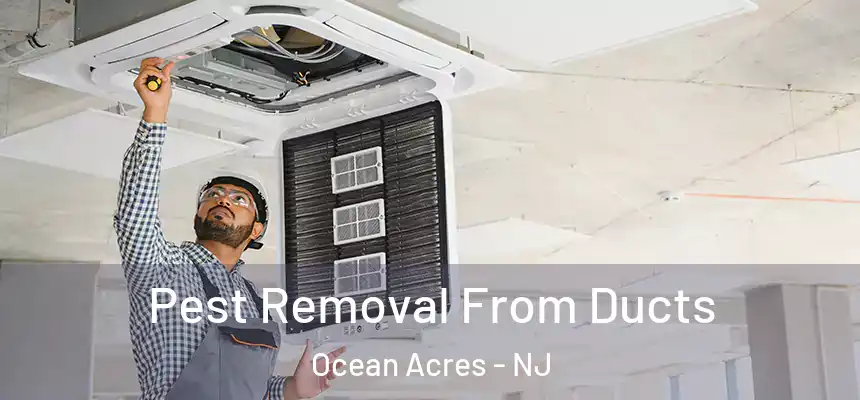  Pest Removal From Ducts Ocean Acres - NJ