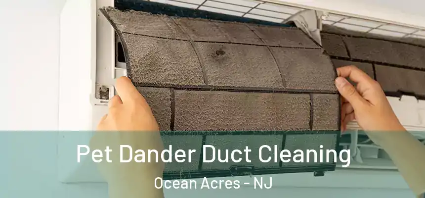 Pet Dander Duct Cleaning Ocean Acres - NJ
