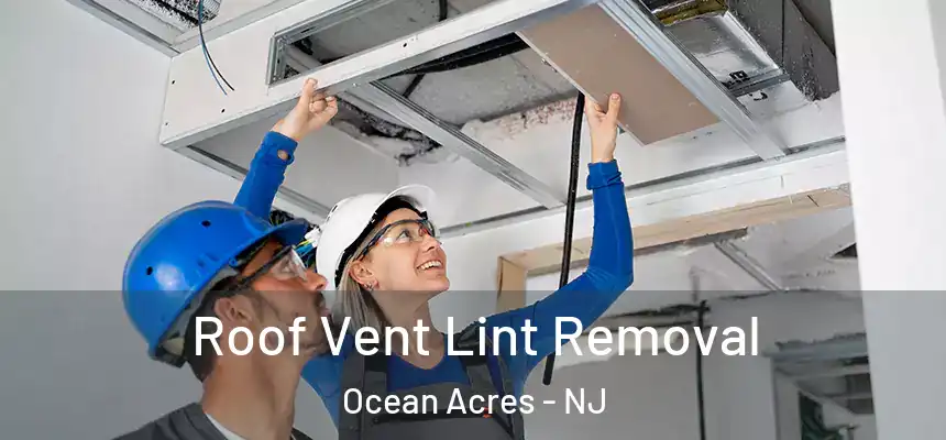 Roof Vent Lint Removal Ocean Acres - NJ