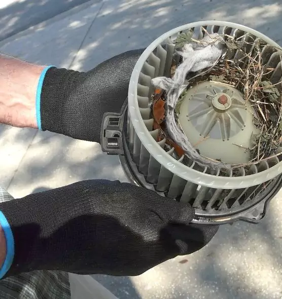 About Air Duct Mice Removal in Ocean Acres, NJ