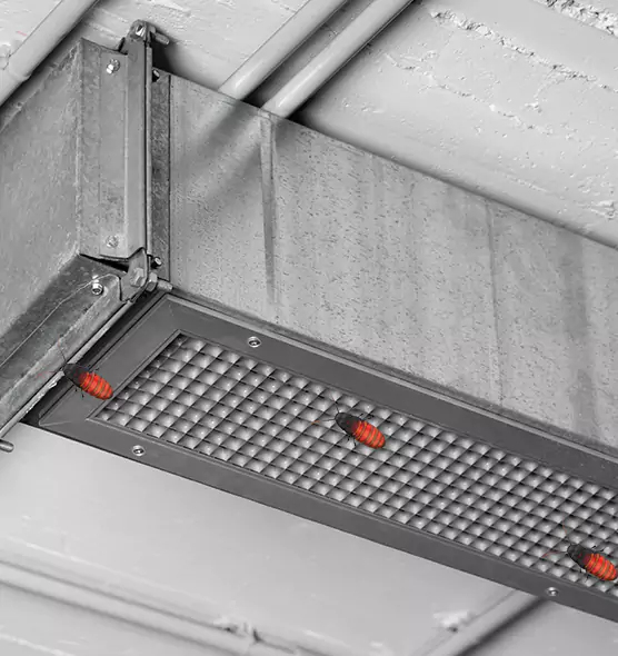 Affordable Insect Removal from Air Ducts in Ocean Acres, NJ