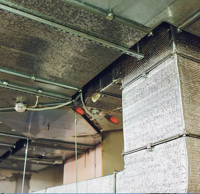 Why Homeowners & Businesses Trust Us in Ocean Acres, NJ?