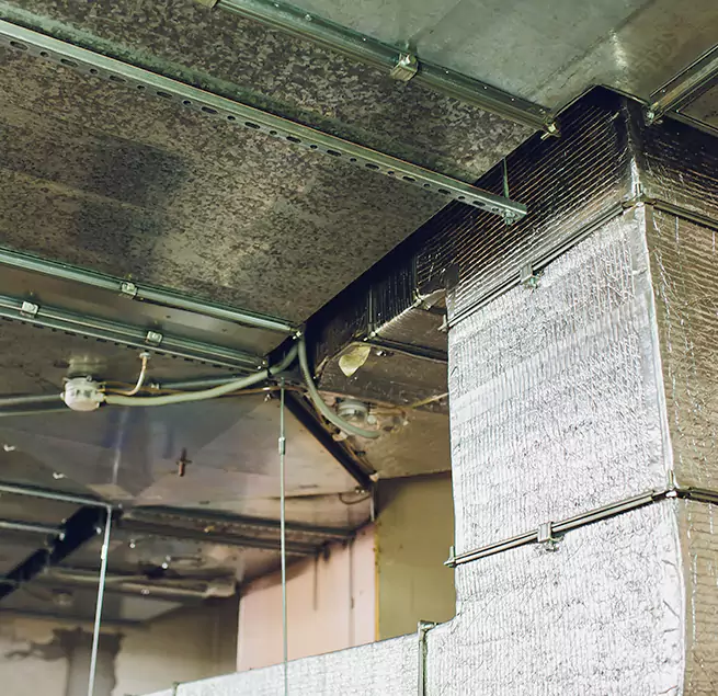 Why Homeowners & Businesses Trust Us in Ocean Acres, NJ?